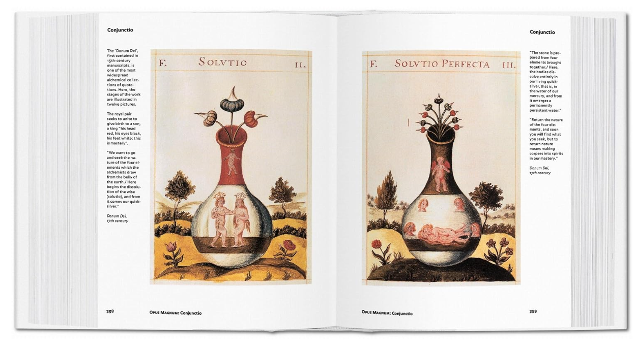 Alchemy & Mysticism (İngilizce) - Alexander Roob - Görsel 5